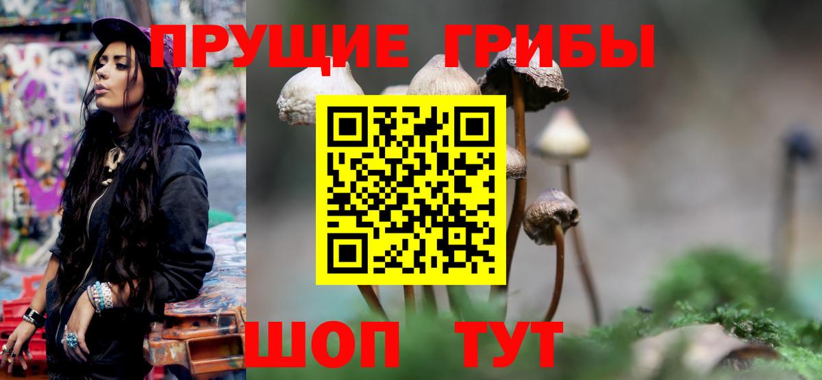 Галлюциногенные грибы мухоморы Артёмовский